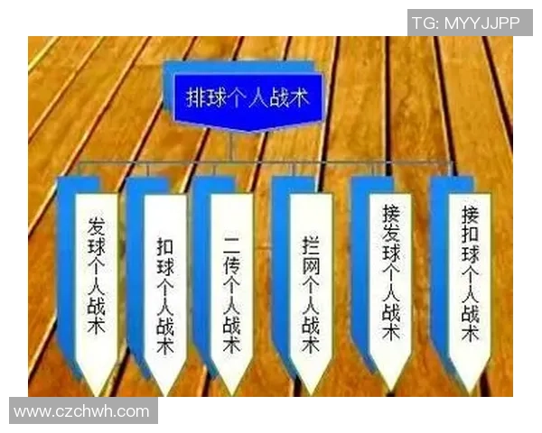 广州排球队在世界锦标赛中的灵活性表现与战术创新分析 广州排球队在世界锦标赛中的灵活性表现与战术创新分析